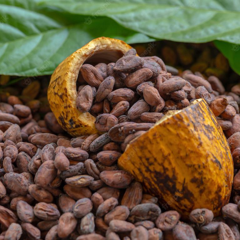 Cocoa Beans